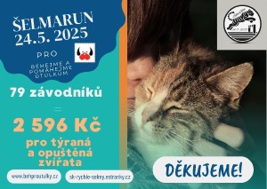 blue-modern-free-pet-care-gift-card.jpg